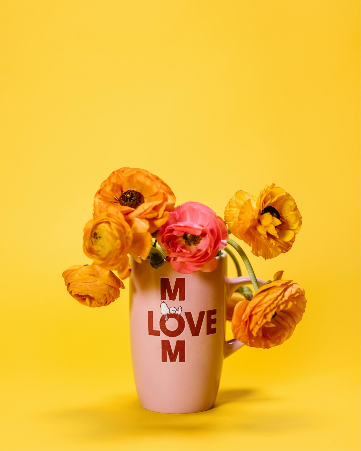 What’s Your Mother’s Day Plan, Chembur?